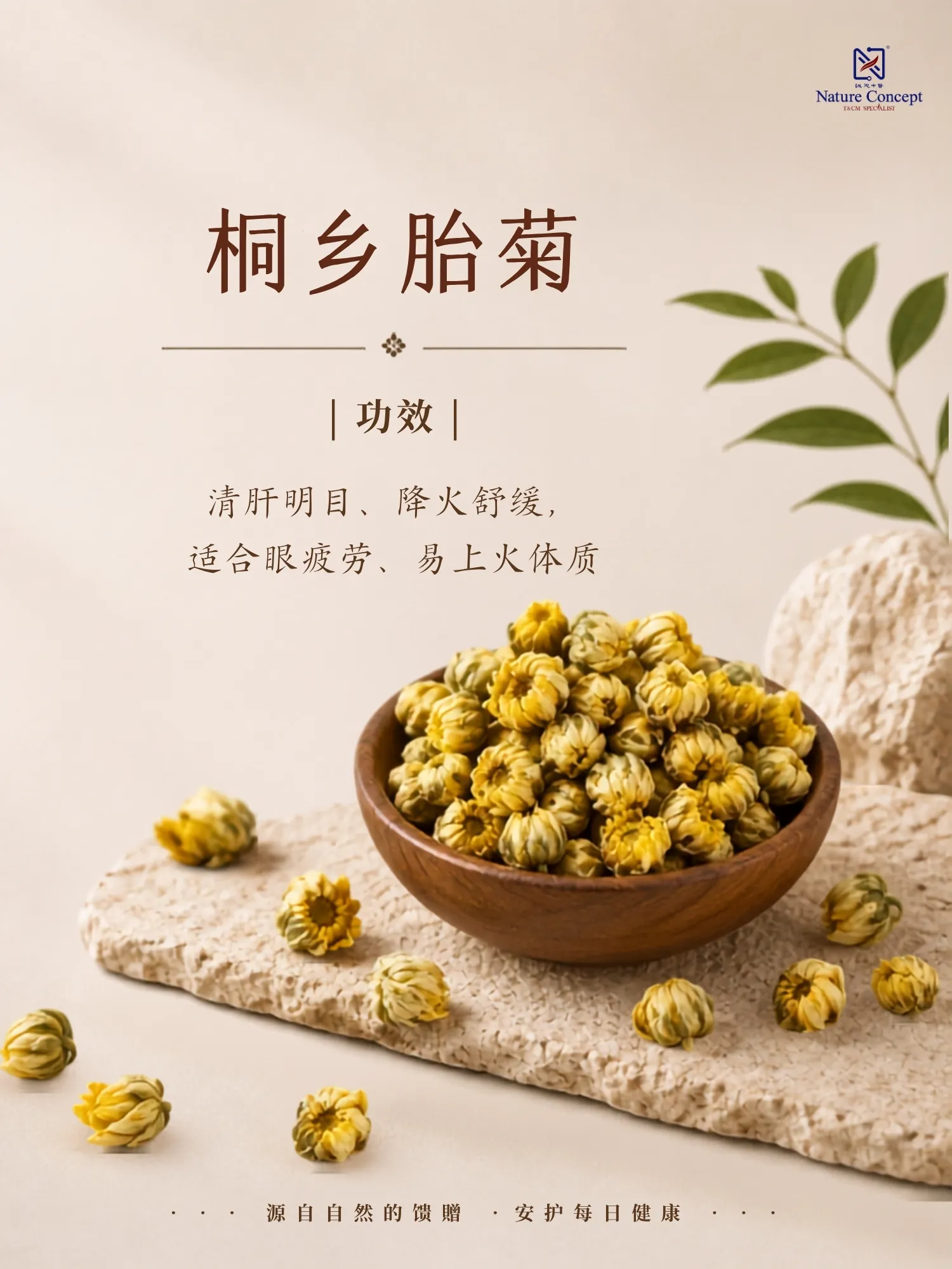 tongxiang chrysanthemum