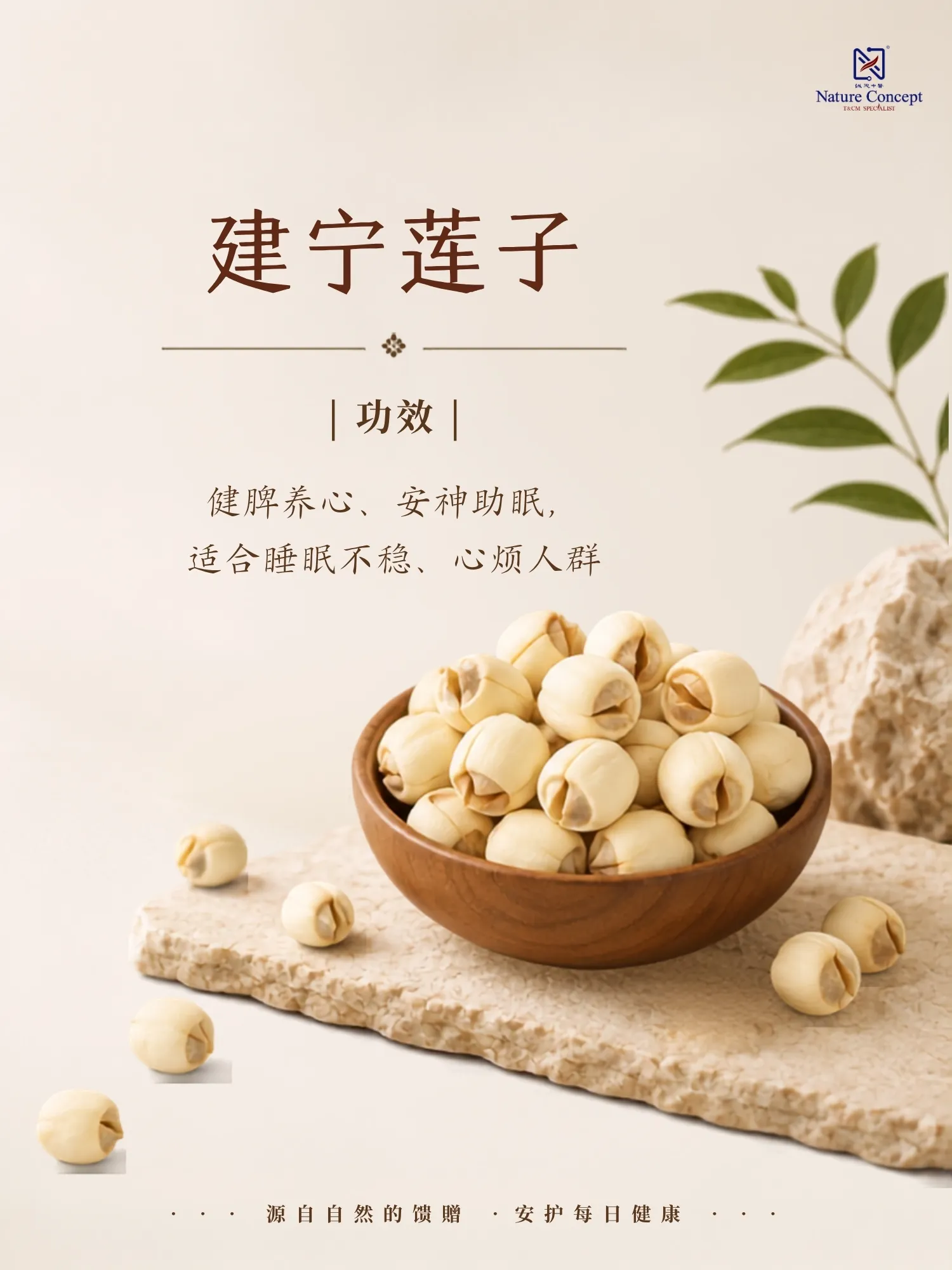 jianning lotus seeds