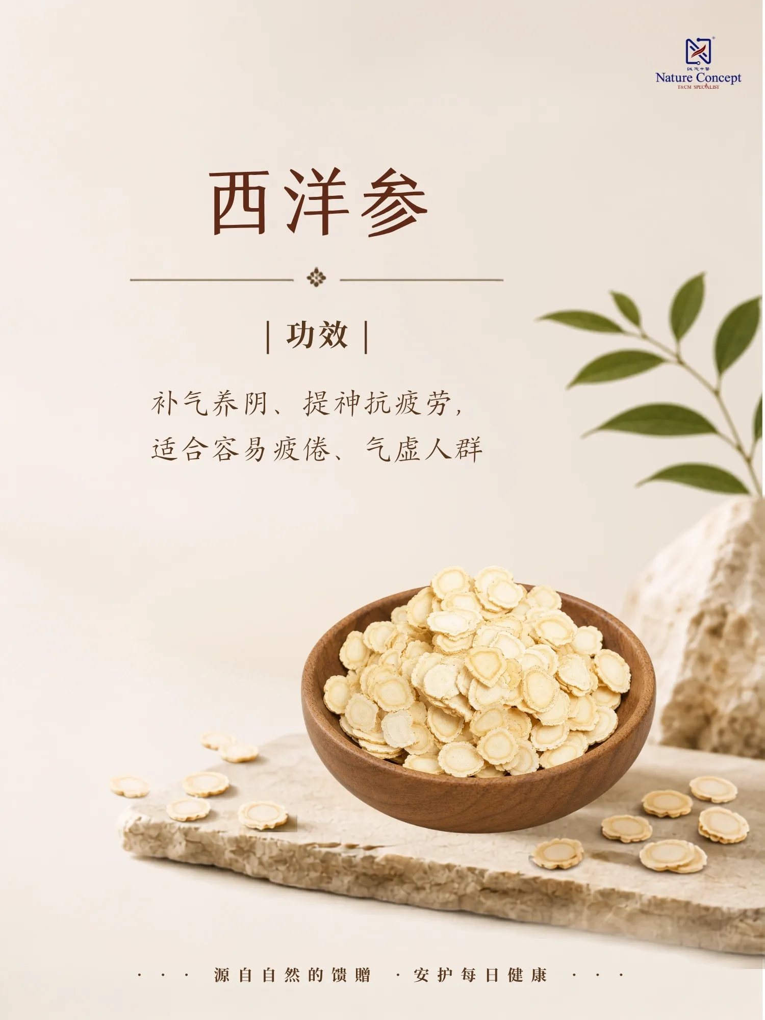 american ginseng
